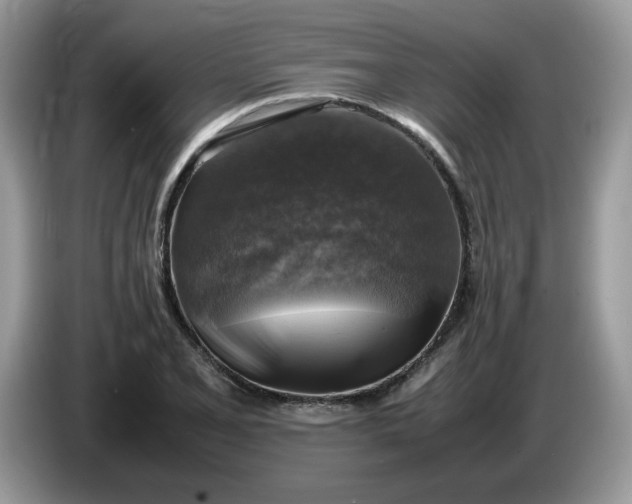 X0000086761077200704271725