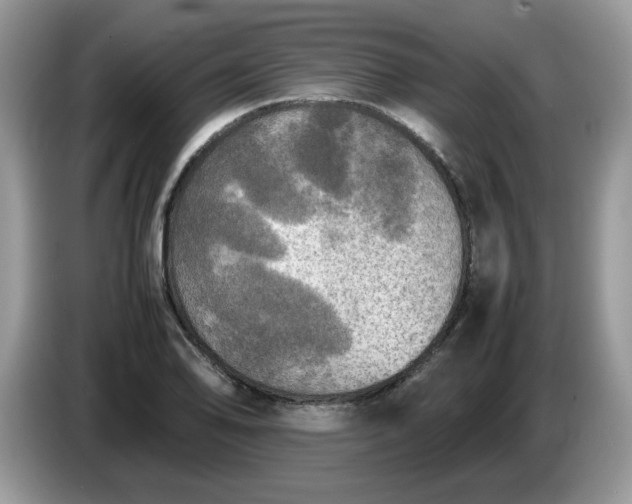 X0000086761078200704271725