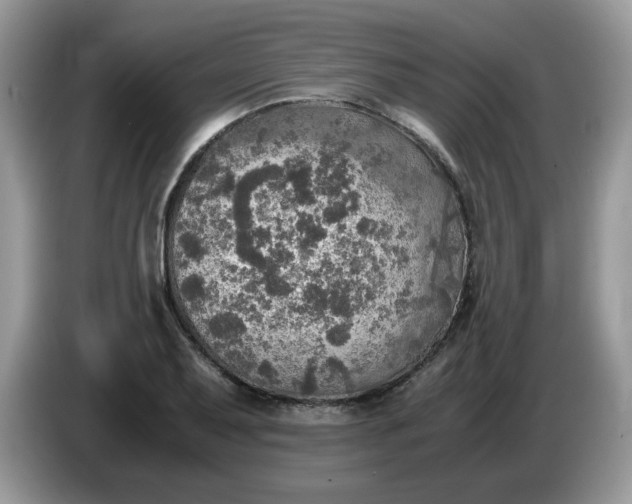 X0000086761079200704271725