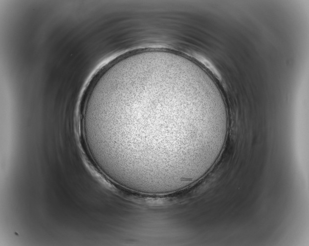 X0000086761080200704271725