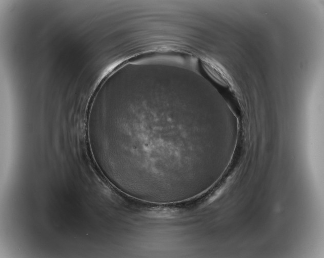 X0000086761081200704271725