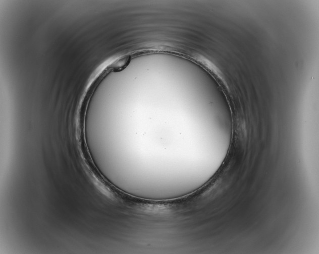 X0000086761082200704271725