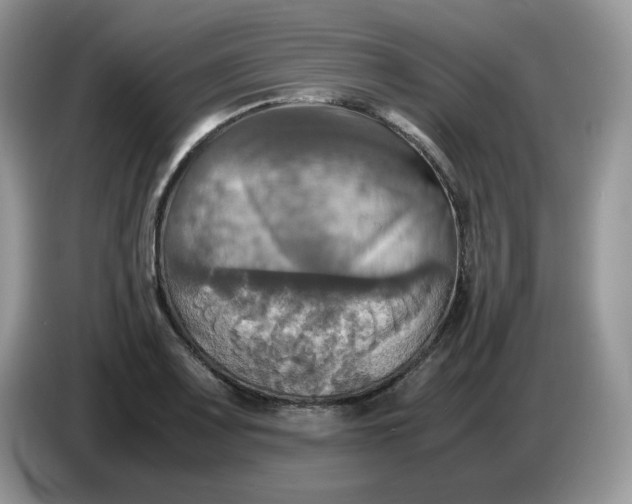 X0000086761083200704271725