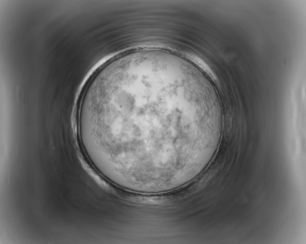 X0000086761084200704271725