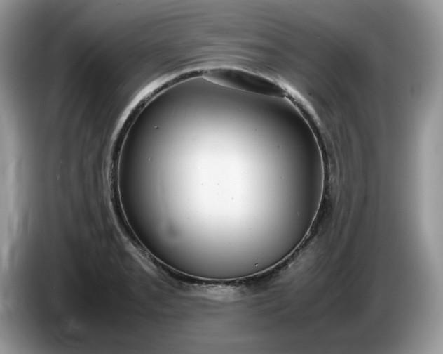 X0000086761085200704271725