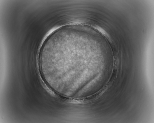 X0000086761086200704271725