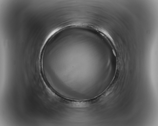 X0000086761087200704271725