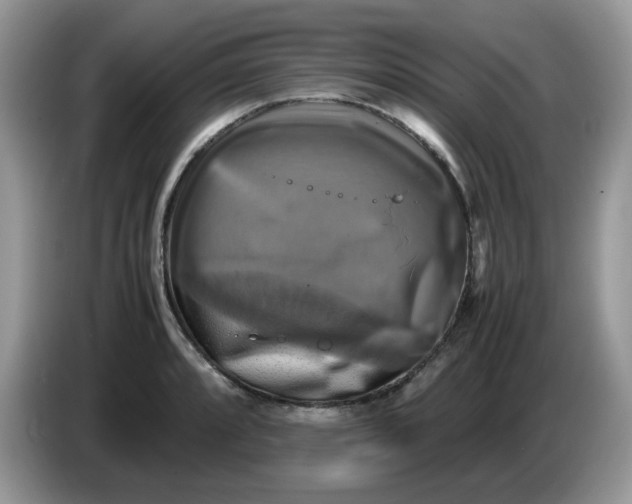 X0000086761088200704271725