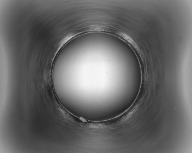 X0000086761089200704271725