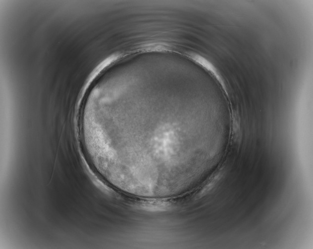 X0000086761090200704271725