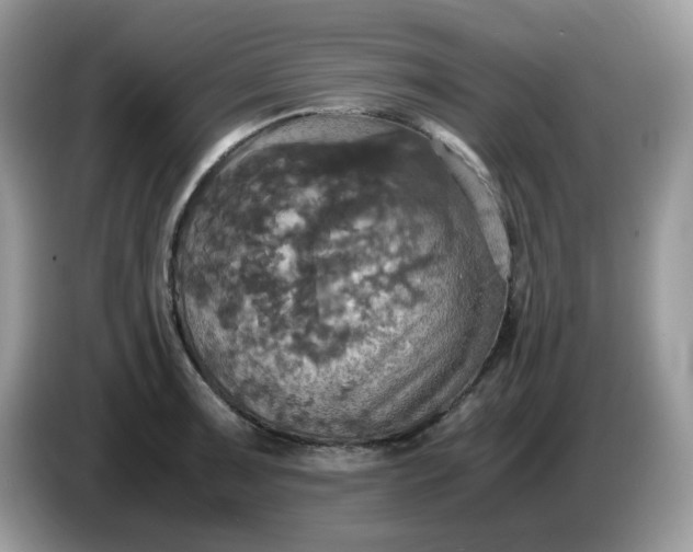 X0000086761091200704271725