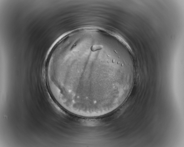 X0000086761092200704271725