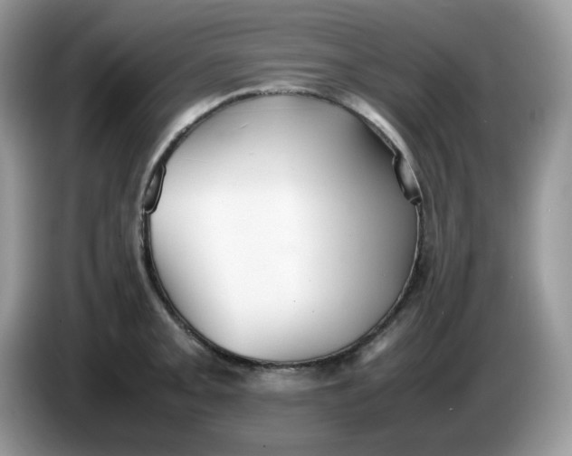 X0000086761093200704271725