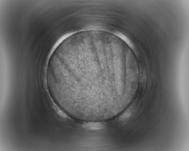 X0000086761094200704271725