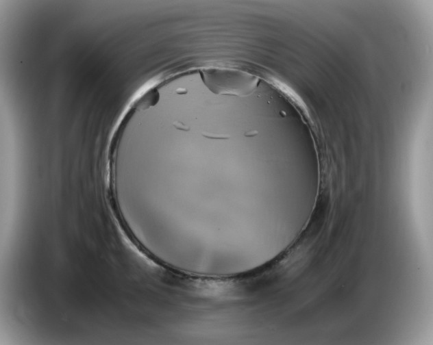 X0000086761095200704271725