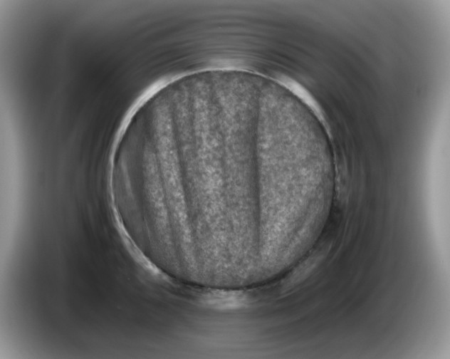 X0000086761096200704271725