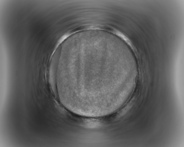 X0000086761097200704271725