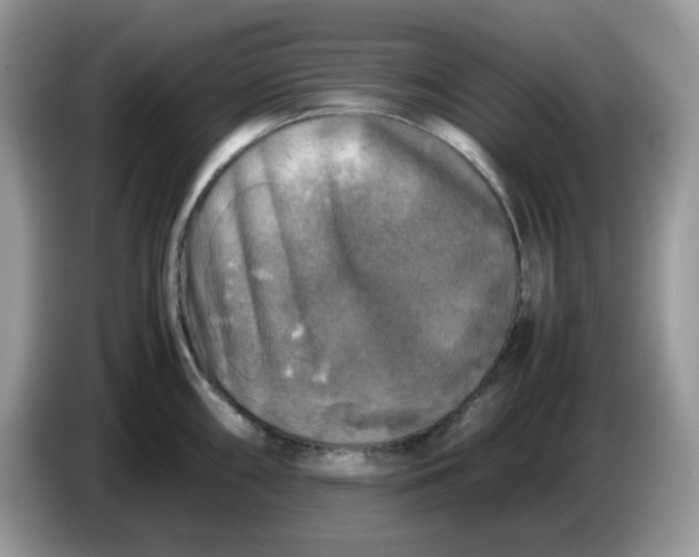 X0000086761098200704271725