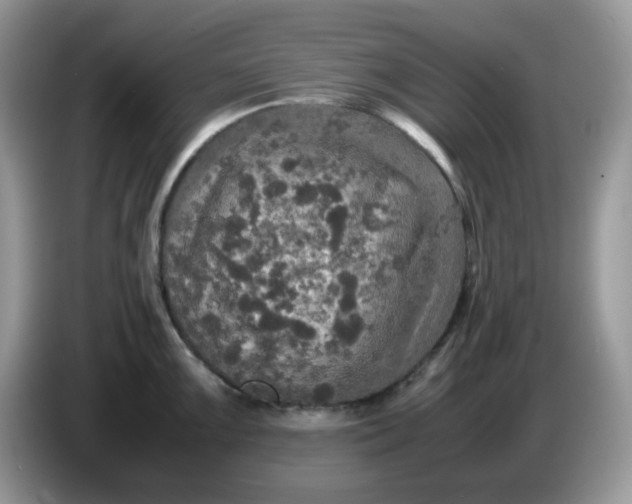 X0000086761099200704271725