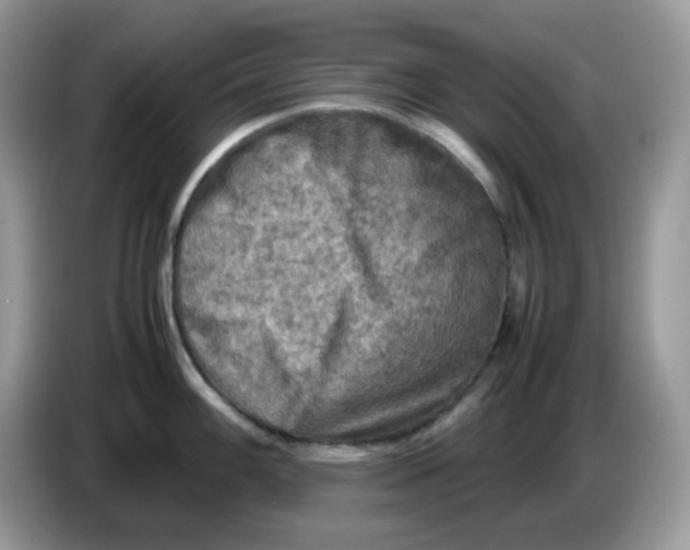 X0000086761100200704271725