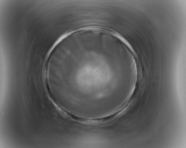 X0000086761101200704271725