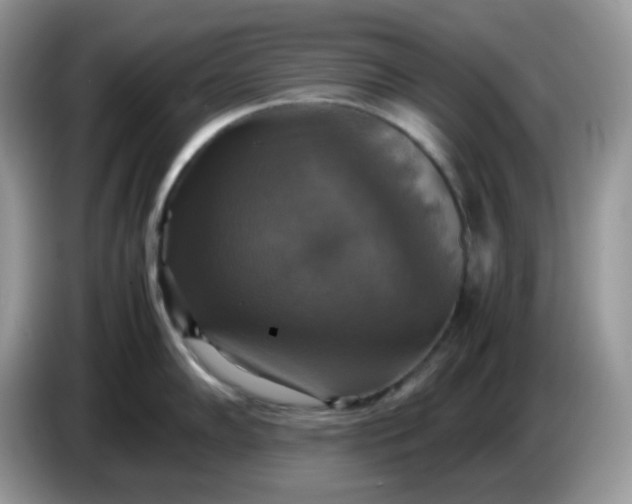 X0000086761102200704271725