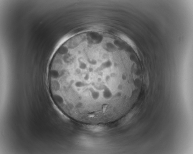 X0000086761103200704271725