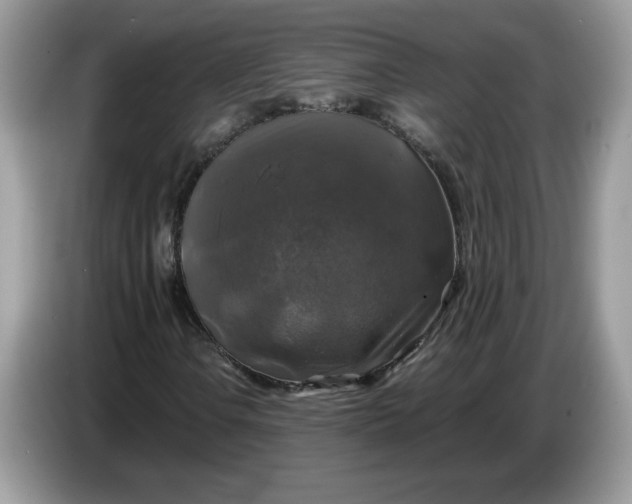 X0000086761106200704271724