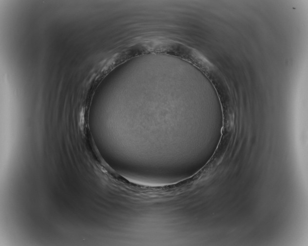 X0000086761108200704271724