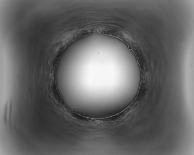 X0000086761109200704271724