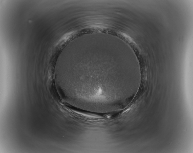 X0000086761110200704271724