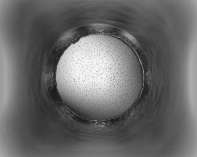 X0000086761111200704271724