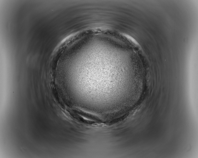 X0000086761112200704271725