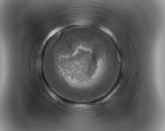 X0000086761114200704271725