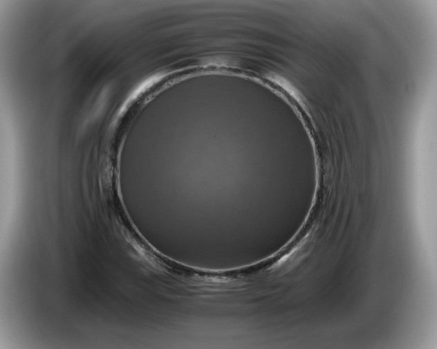 X0000086761115200704271725