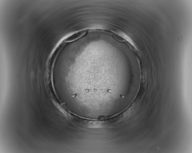 X0000086761116200704271725