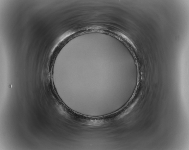 X0000086761117200704271725