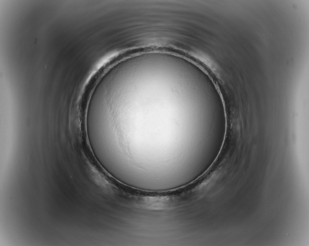 X0000086761118200704271725