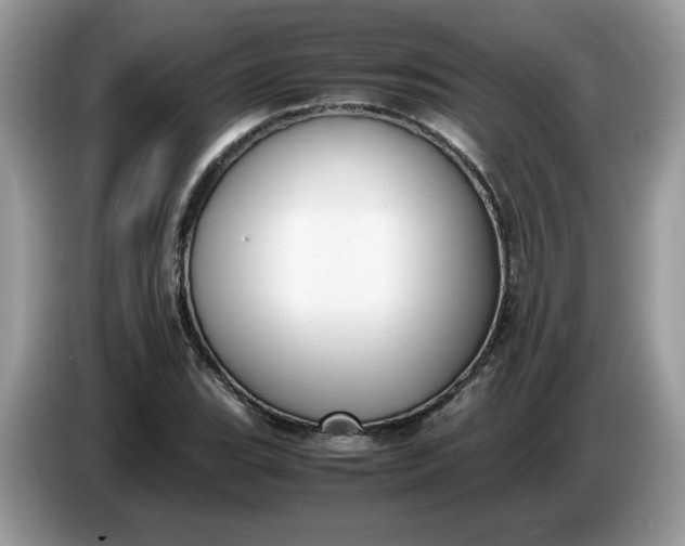 X0000086761119200704271725