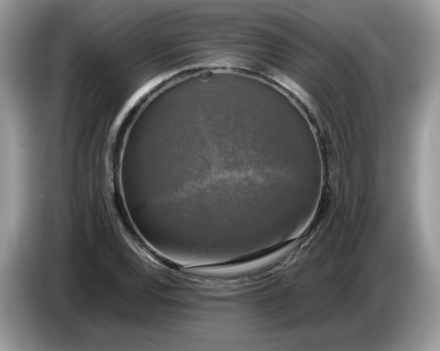 X0000086761120200704271725