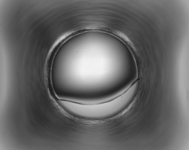 X0000086761122200704271725