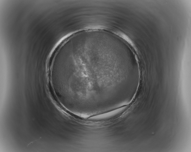 X0000086761124200704271725