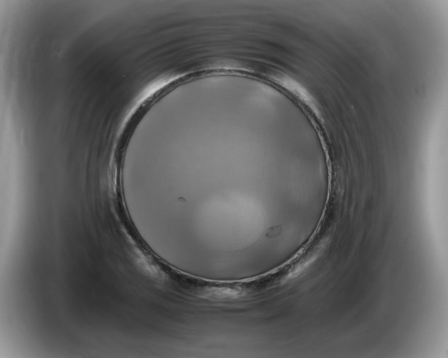 X0000086761125200704271725