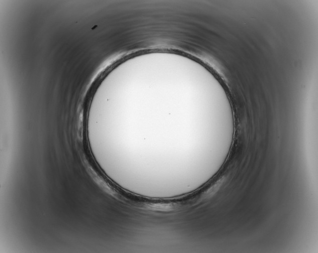 X0000086761126200704271725