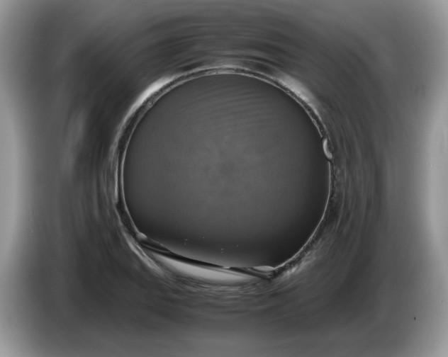 X0000086761127200704271725