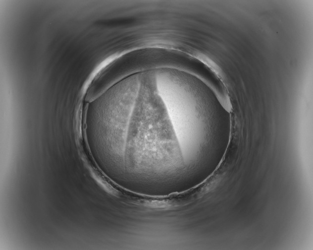 X0000086761128200704271725