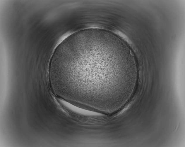 X0000086761129200704271725