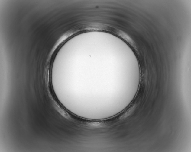 X0000086761130200704271725