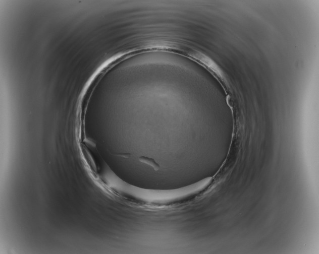 X0000086761132200704271725