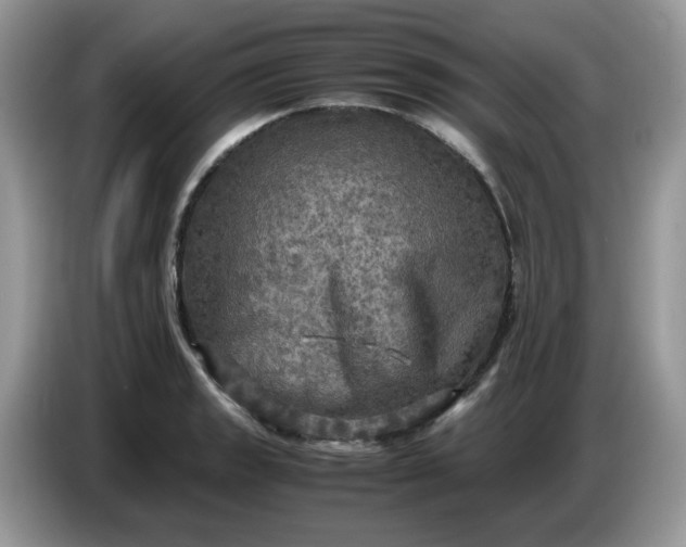 X0000086761133200704271725